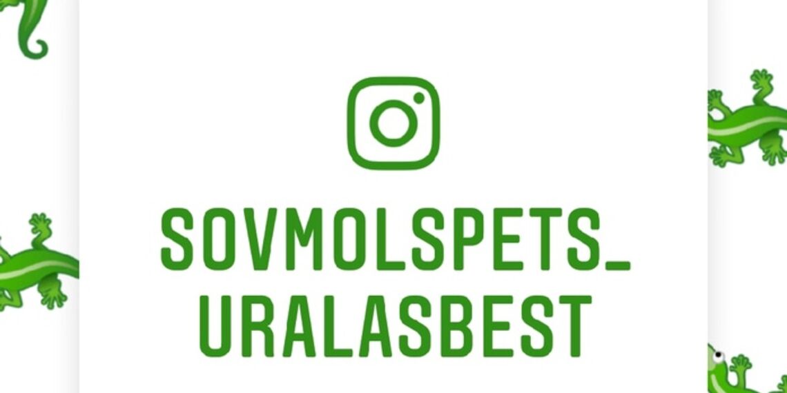 «Совет молодых специалистов ПАО «Ураласбест» теперь в Instagram!