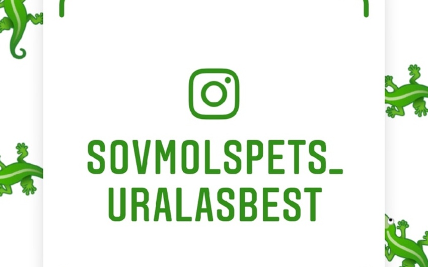«Совет молодых специалистов ПАО «Ураласбест» теперь в Instagram!